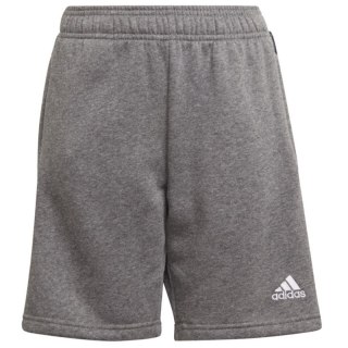 Spodenki adidas Tiro 21 Sweat Short Jr GP8806 152 cm