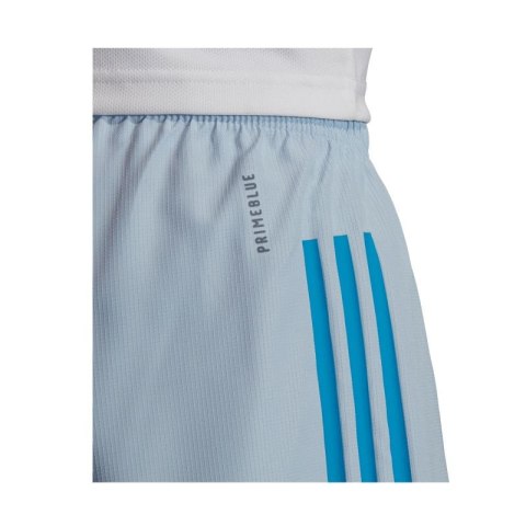 Spodenki adidas Condivo 20 PB M 219 FI4219 XXXL