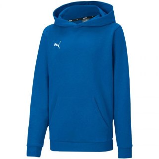 Bluza Puma teamGOAL 23 Casuals Hoody Jr 656711 02 116