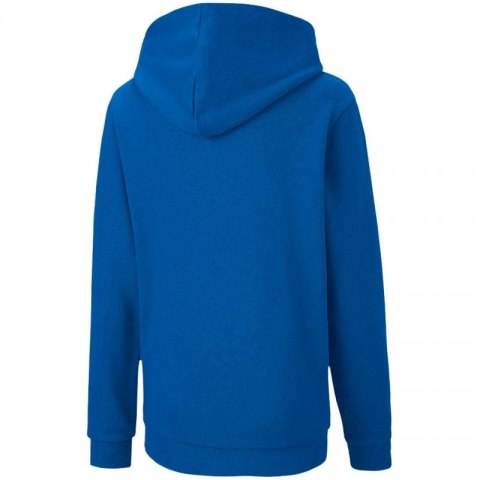 Bluza Puma teamGOAL 23 Casuals Hoody Jr 656711 02 116