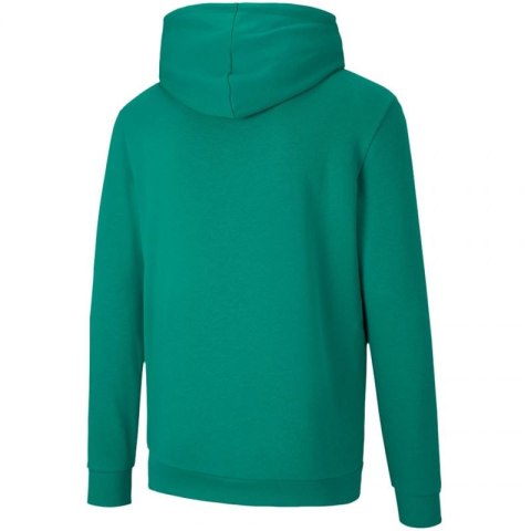 Bluza Puma teamGOAL 23 Casuals Hoody Jr 656711 05 164