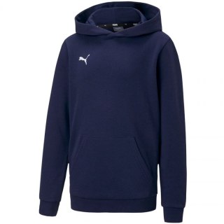 Bluza Puma teamGOAL 23 Casuals Hoody Jr 656711 06 116