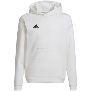 Bluza adidas Entrada 22 Hoody Jr HG6303 152cm