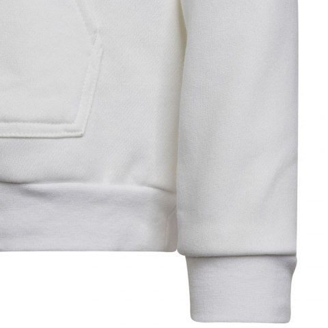 Bluza adidas Entrada 22 Hoody Jr HG6303 152cm Bluza adidas Entrada 22 Hoody Jr HG6303 152cm