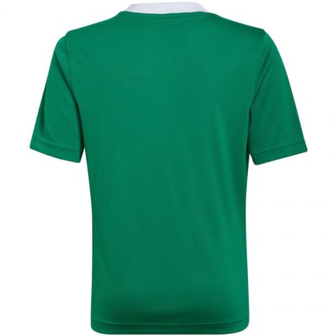 Koszulka adidas Entrada 22 Jersey Jr HI2126 116 cm Koszulka adidas Entrada 22 Jersey Jr HI2126 116 cm