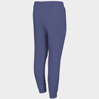 Spodnie 4F Jr HJL22-JSPDD001 32S 128 cm