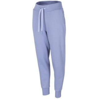 Spodnie 4F W H4Z22 SPDD351 32S XL