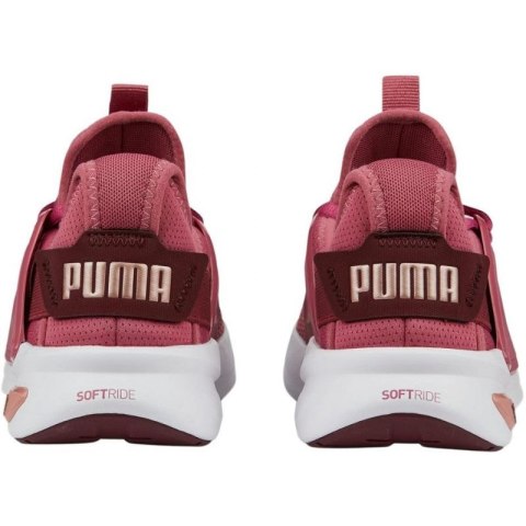 Buty Puma Softride Enzo Evo W 377048 05 36