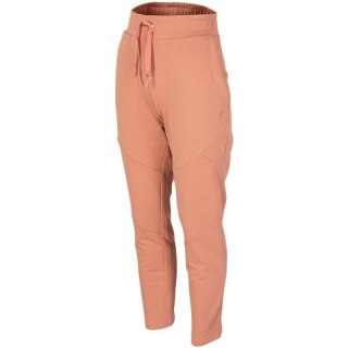 Spodnie 4F W H4Z22SPDD01864S 2XL