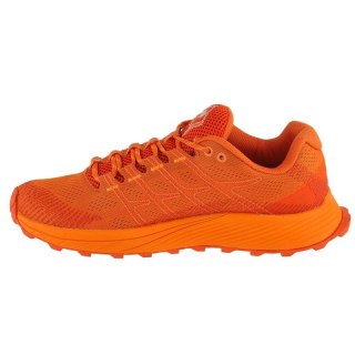 Buty do biegania Merrell Moab Flight M J067477 41