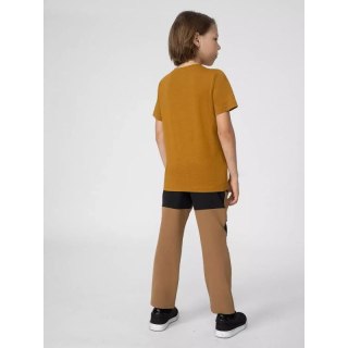 Spodnie 4F trekkingowe Jr 4FJSS23TFTRM098-81S 140