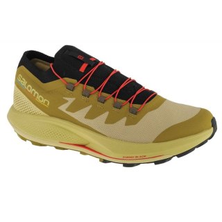 Buty Salomon Pulsar Trail-Pro M 415936 40 2/3