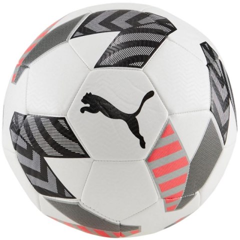 Piłka nożna Puma King Ball 83997 02 5