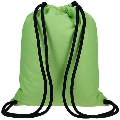 Worek na buty 4F M055 4FJWAW23AGYMM055 41S N/A Worek na buty 4F M055 4FJWAW23AGYMM055 41S N/A