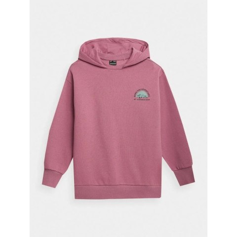 Bluza 4F Jr 4FJAW23TSWSF642-54S 158 Bluza 4F Jr 4FJAW23TSWSF642-54S 158