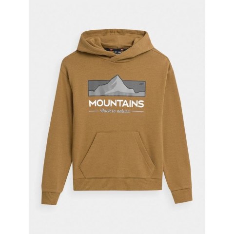 Bluza 4F Jr 4FJAW23TSWSM634-74S 146 Bluza 4F Jr 4FJAW23TSWSM634-74S 146