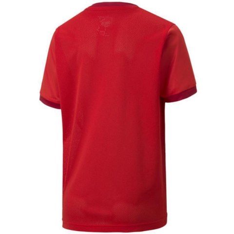 Koszulka Puma teamGOAL 23 Jersey Jr 704160 01 140cm