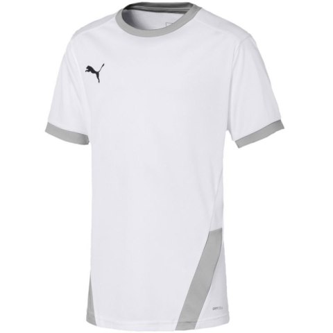 Koszulka Puma teamGOAL 23 Jersey Jr 704160 04 116cm