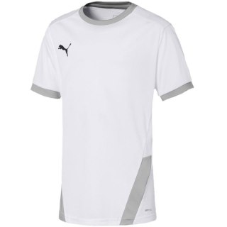 Koszulka Puma teamGOAL 23 Jersey Jr 704160 04 128cm