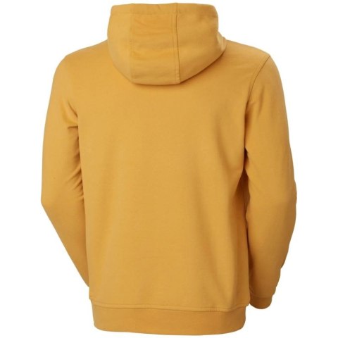 Bluza Helly Hansen Logo Hoodie M 33977-364 M Bluza Helly Hansen Logo Hoodie M 33977-364 M
