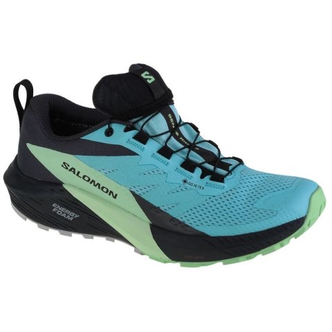 Buty do biegania Salomon Sense Ride 5 GTX W 472160 39 1/3 Buty do biegania Salomon Sense Ride 5 GTX W 472160 39 1/3