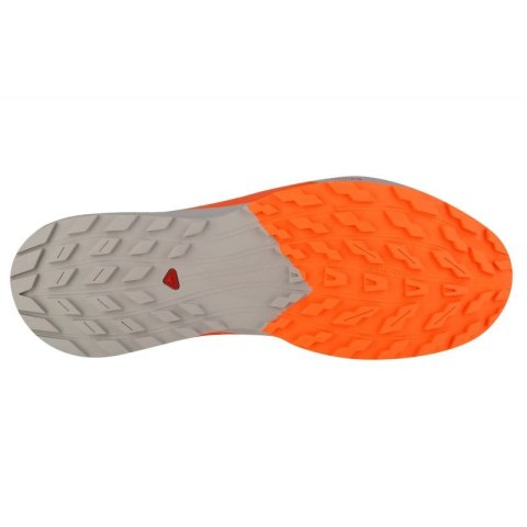 Buty do biegania Salomon Sense Ride 5 M 470462 44 2/3