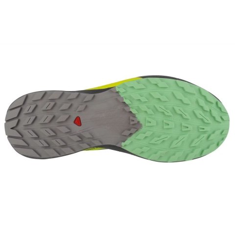Buty do biegania Salomon Sense Ride 5 M 471442 47 1/3