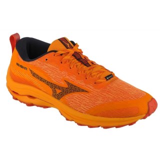 Buty Mizuno Wave Rider GTX M J1GC227902 45