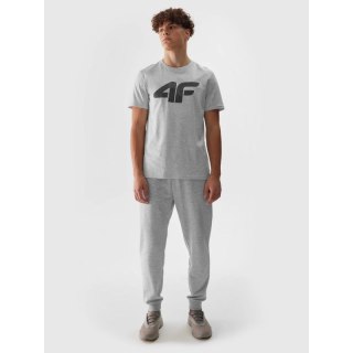 Spodnie 4F M 4FWSS24TTROM603 27M XL