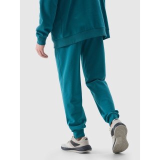 Spodnie 4F M 4FWSS24TTROM603 46S XL