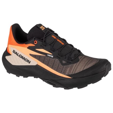 Buty do biegania Salomon Genesis M 475261 44