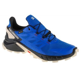 Buty do biegania Salomon Supercross 4 GTX M 417320 45 1/3
