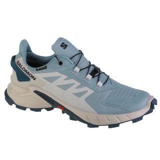 Buty do biegania Salomon Supercross 4 GTX W 471201 41 1/3