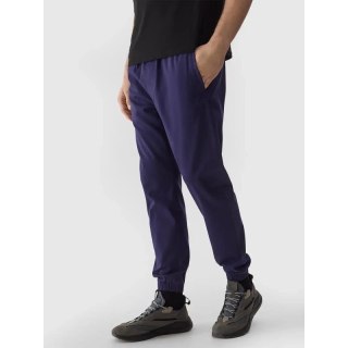 Spodnie 4F M 4FWSS24TTROM646-31S 3XL
