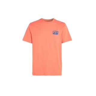 Koszulka O'Neill Beach Graphic T-Shirt M 92800613976 XL