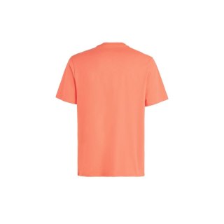 Koszulka O'Neill Cali Original T-Shirt M 92800613165 L