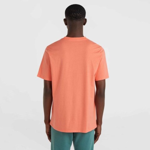 Koszulka O'Neill Cali Original T-Shirt M 92800613165 L