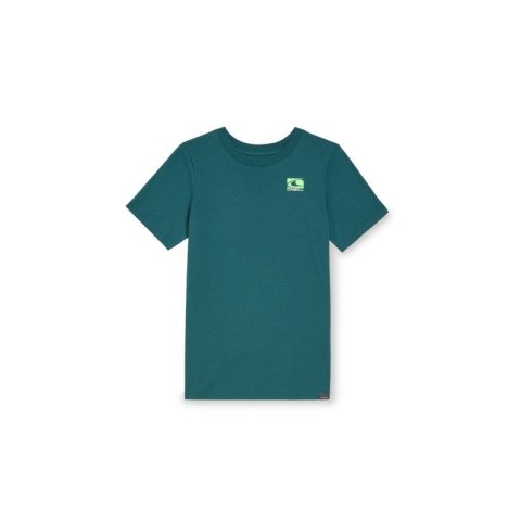 Koszulka O'Neill Jack T-Shirt Jr 92800613615 164