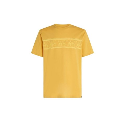 Koszulka O'Neill Mix & Match Floral Graphic T-Shirt M 92800613885 M Koszulka O'Neill Mix & Match Floral Graphic T-Shirt M 92800613885 M