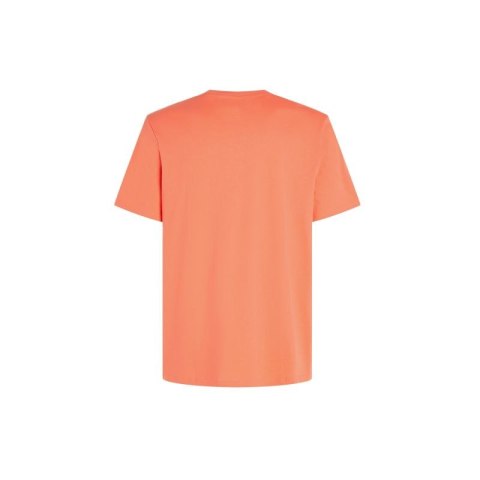 Koszulka O'Neill Mix & Match Palm T-Shirt M 92800613905 M Koszulka O'Neill Mix & Match Palm T-Shirt M 92800613905 M