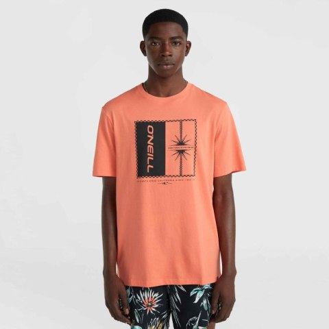 Koszulka O'Neill Mix & Match Palm T-Shirt M 92800613905 M Koszulka O'Neill Mix & Match Palm T-Shirt M 92800613905 M