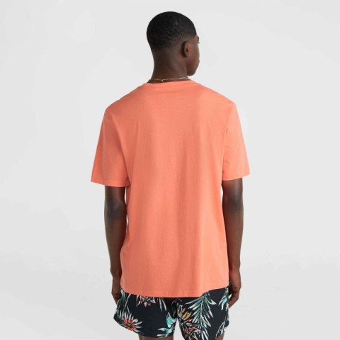 Koszulka O'Neill Mix & Match Palm T-Shirt M 92800613905 M Koszulka O'Neill Mix & Match Palm T-Shirt M 92800613905 M