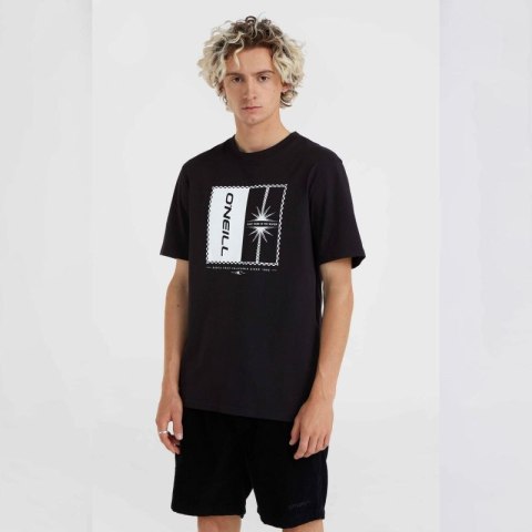 Koszulka O'Neill Mix & Match Palm T-Shirt M 92800613909 M Koszulka O'Neill Mix & Match Palm T-Shirt M 92800613909 M