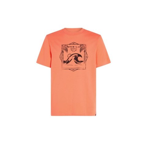 Koszulka O'Neill Mix & Match Wave T-Shirt M 92800613917 M Koszulka O'Neill Mix & Match Wave T-Shirt M 92800613917 M