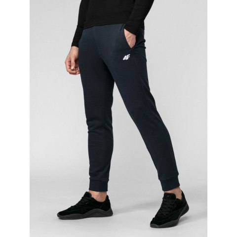 Spodnie 4F M 4FWSS24TTROM0973-31S 2XL Spodnie 4F M 4FWSS24TTROM0973-31S 2XL