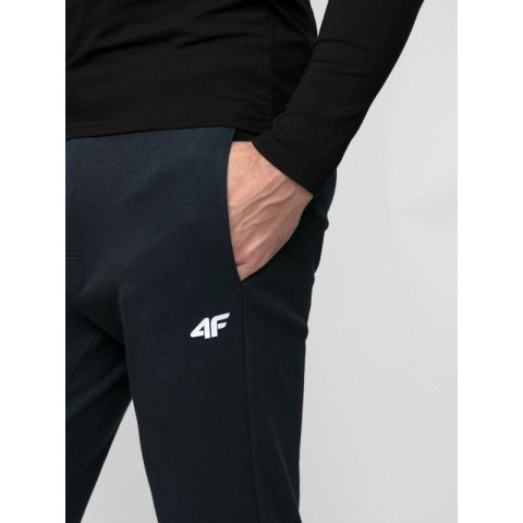 Spodnie 4F M 4FWSS24TTROM0973-31S 2XL Spodnie 4F M 4FWSS24TTROM0973-31S 2XL