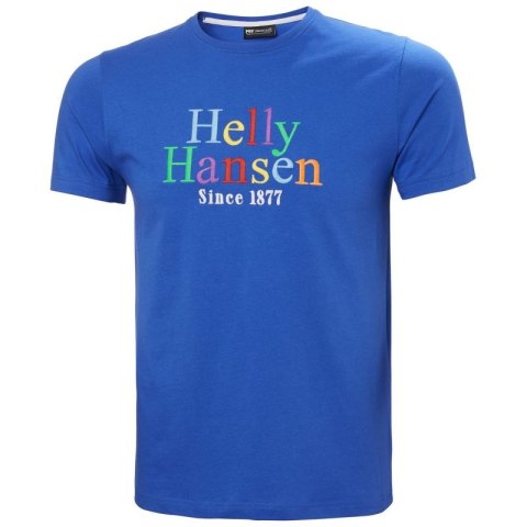 Koszulka Helly Hansen Core Graphit T M 53936 543 L