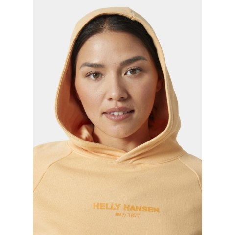 Bluza Helly Hansen z kapturem W Core Hoodie W 54033 316 M Bluza Helly Hansen z kapturem W Core Hoodie W 54033 316 M