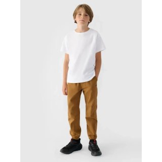 Spodnie 4F Jr 4FJWMM00TTROM0812-82S 140