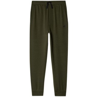 Spodnie 4F M0810 Jr 4FJWMM00TTROM0810 43S 134cm